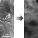 Image for article titled How an Odd Property of Acid Created Self-Healing Iron